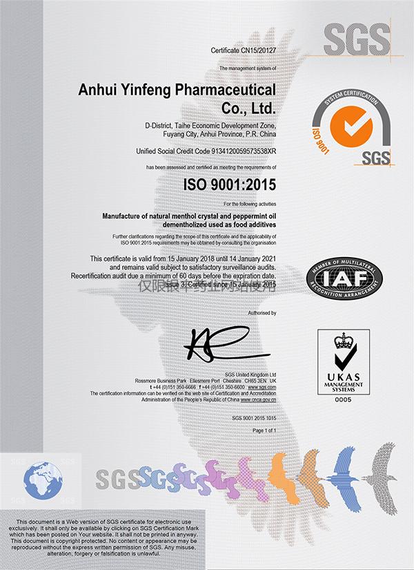 ISO 9001EN